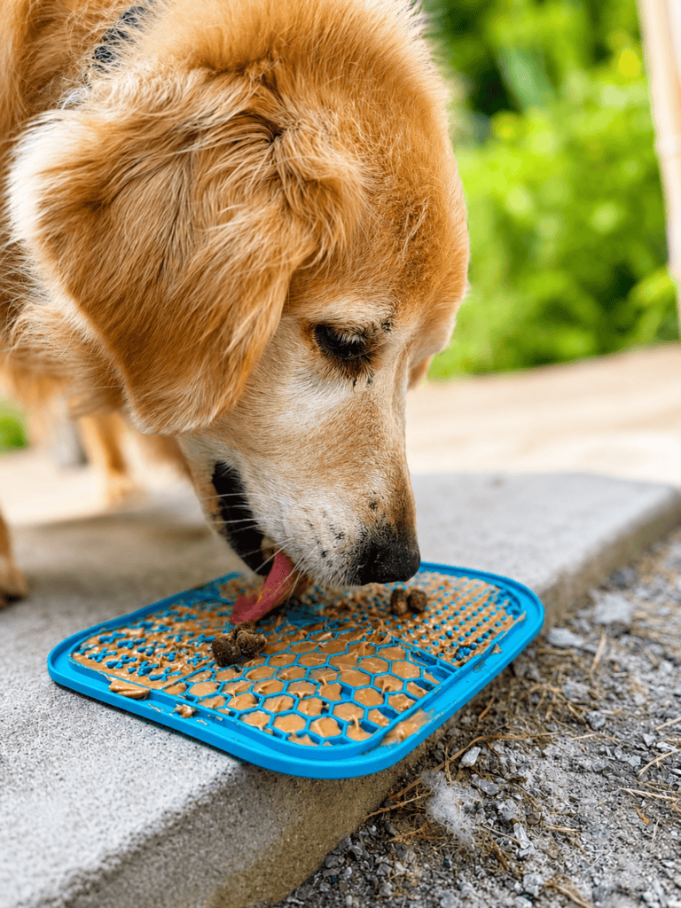 Golden retriever dog engaging with food puzzle toy outdoors.